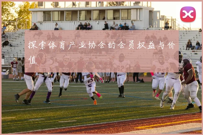 探索体育产业协会的会员权益与价值